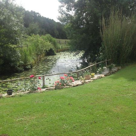 Chateau Le Poiron Bed & Breakfast Pissotte Luaran gambar